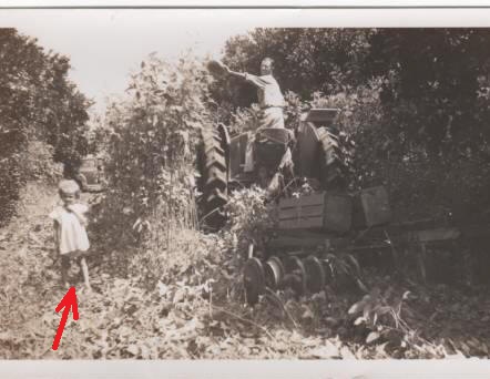Dad in orange grove